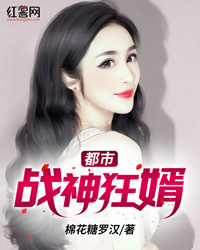 叶辰风轻灵